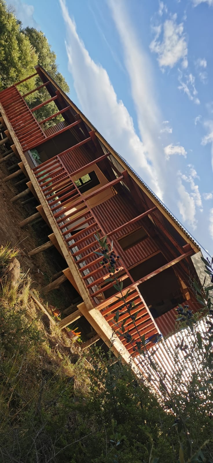 Bloemfontein log home detail